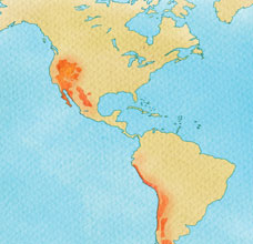 Desiertos del mundo