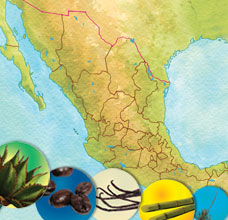 Alimentos con denominación de origen en México