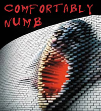 «Comfortably numb» / Pink Floyd