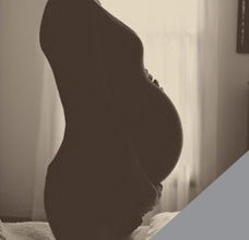 Los orígenes de la sexualidad