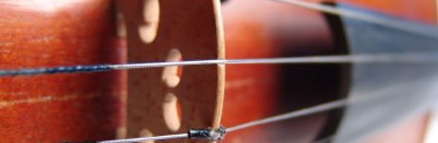 carlos5-interior-violin
