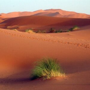 Desiertos del mundo. Desierto del Sahara