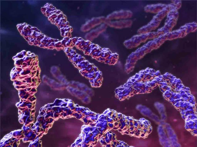 s10-desderedaccion-genetica-cromosomas