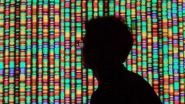 s10-desderedaccion-genetica-human_genome