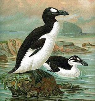 extincion-pinguinos
