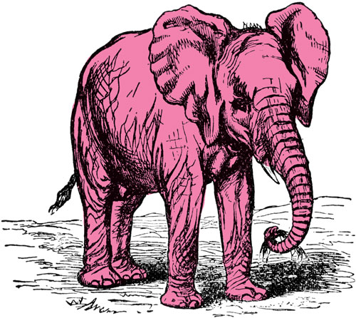 s14-ciencia-elefante-rosa