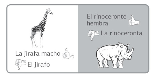 s20-lengua-2-tabla-jirafa-rinoceronte