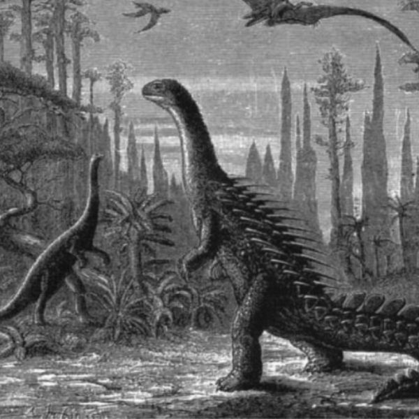 ¿Por qué se extinguieron los dinosaurios?