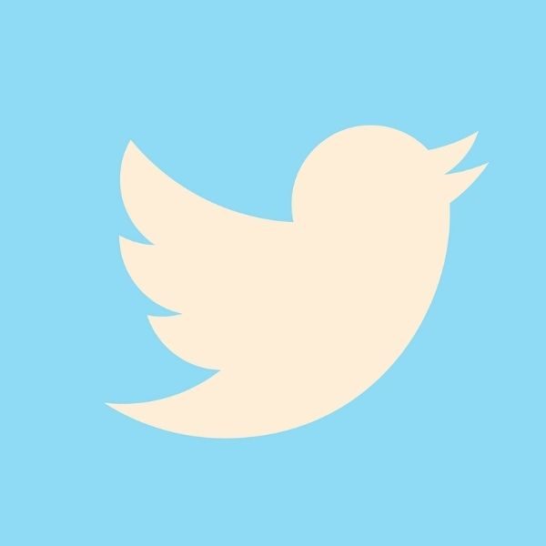 Twitter: el blue bird que nos canta por las mañanas
