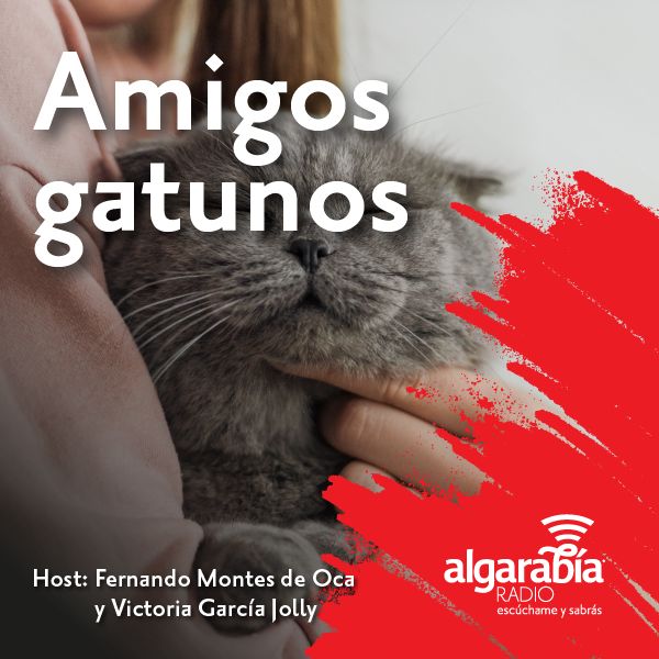 Algarabía Radio: Amigos gatunos