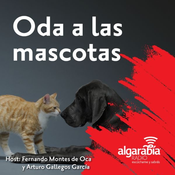 Algarabía Radio: Oda a las mascotas 