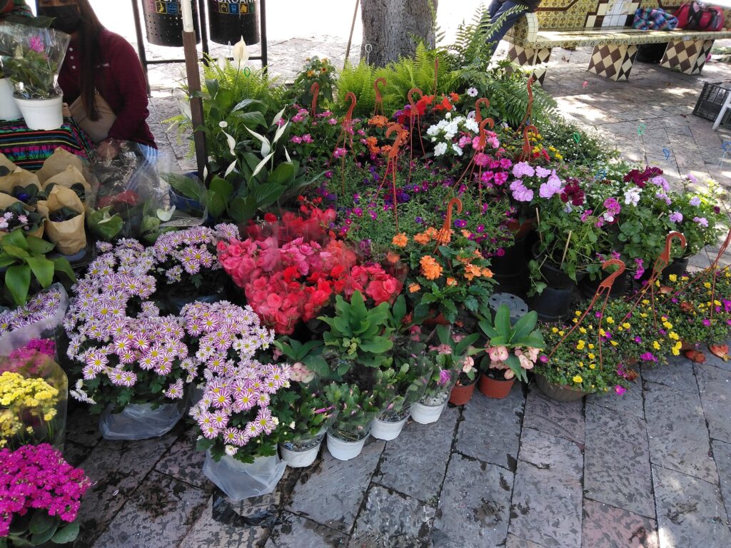 {"capture mode":"automodule","faces":[]}