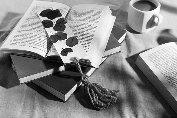 Leolit algarabia 16082025