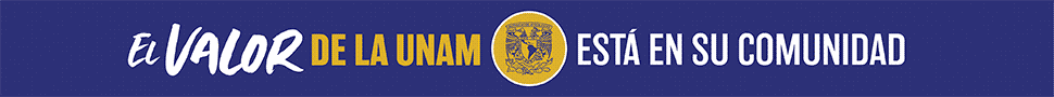 Unam comunidad 970x90